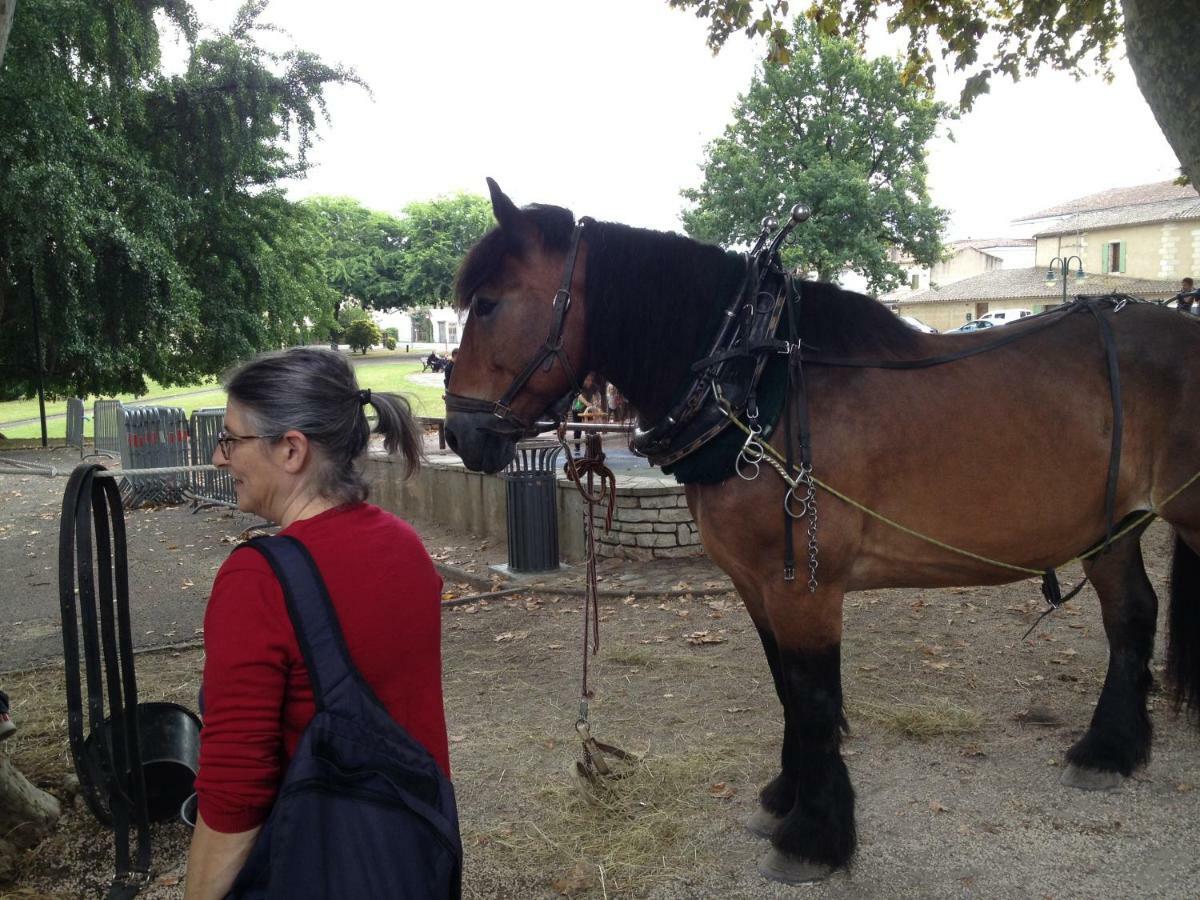 Ligueux Chemin De Gargamelle Gite 'Mirabelle'别墅 外观 照片